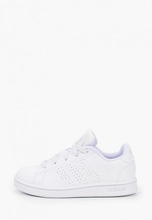 Кеды adidas