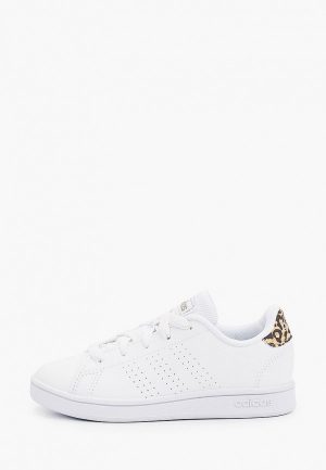 Кеды adidas ADVANTAGE K