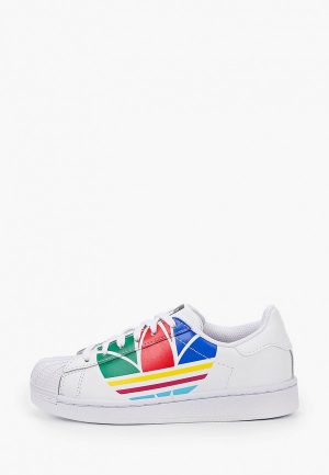 Кеды adidas Originals SUPERSTAR C