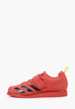 Кроссовки adidas POWERLIFT 4