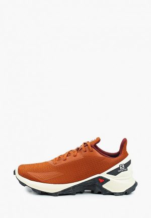 Кроссовки Salomon ALPHACROSS BLAST