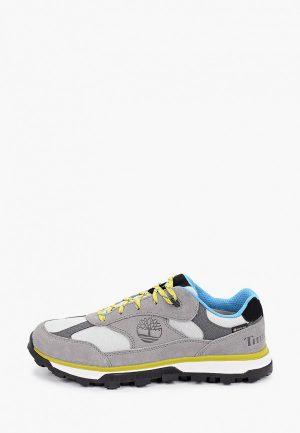 Кроссовки Timberland Trail Trekker Low GTX